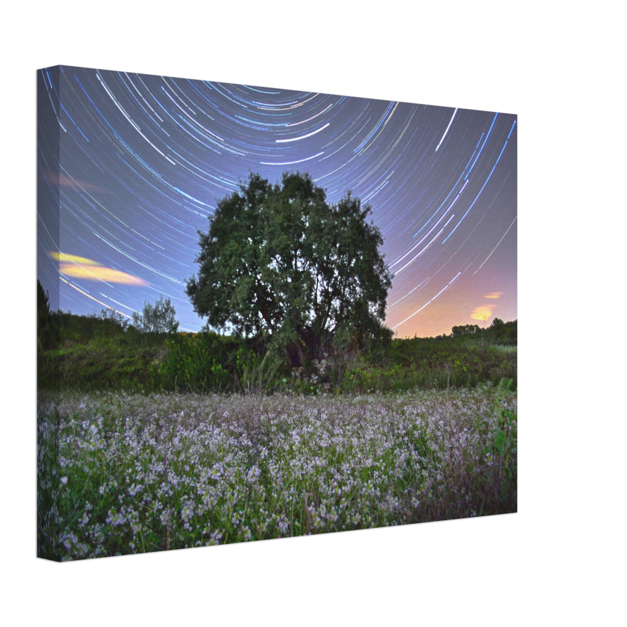 0e008ed4-6c17-4b43-992c-5e313b659bd5