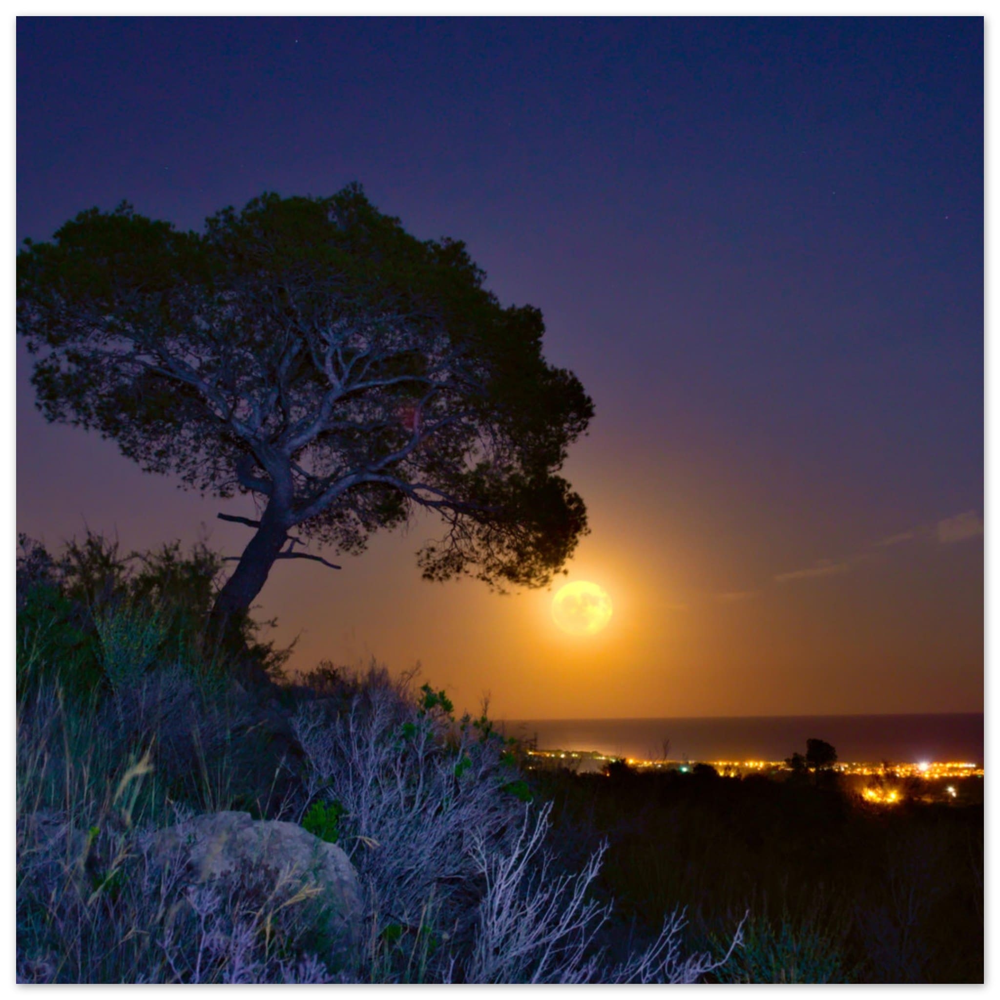 1c4f23fd-af41-44c3-bc0f-7d1b569b47cb