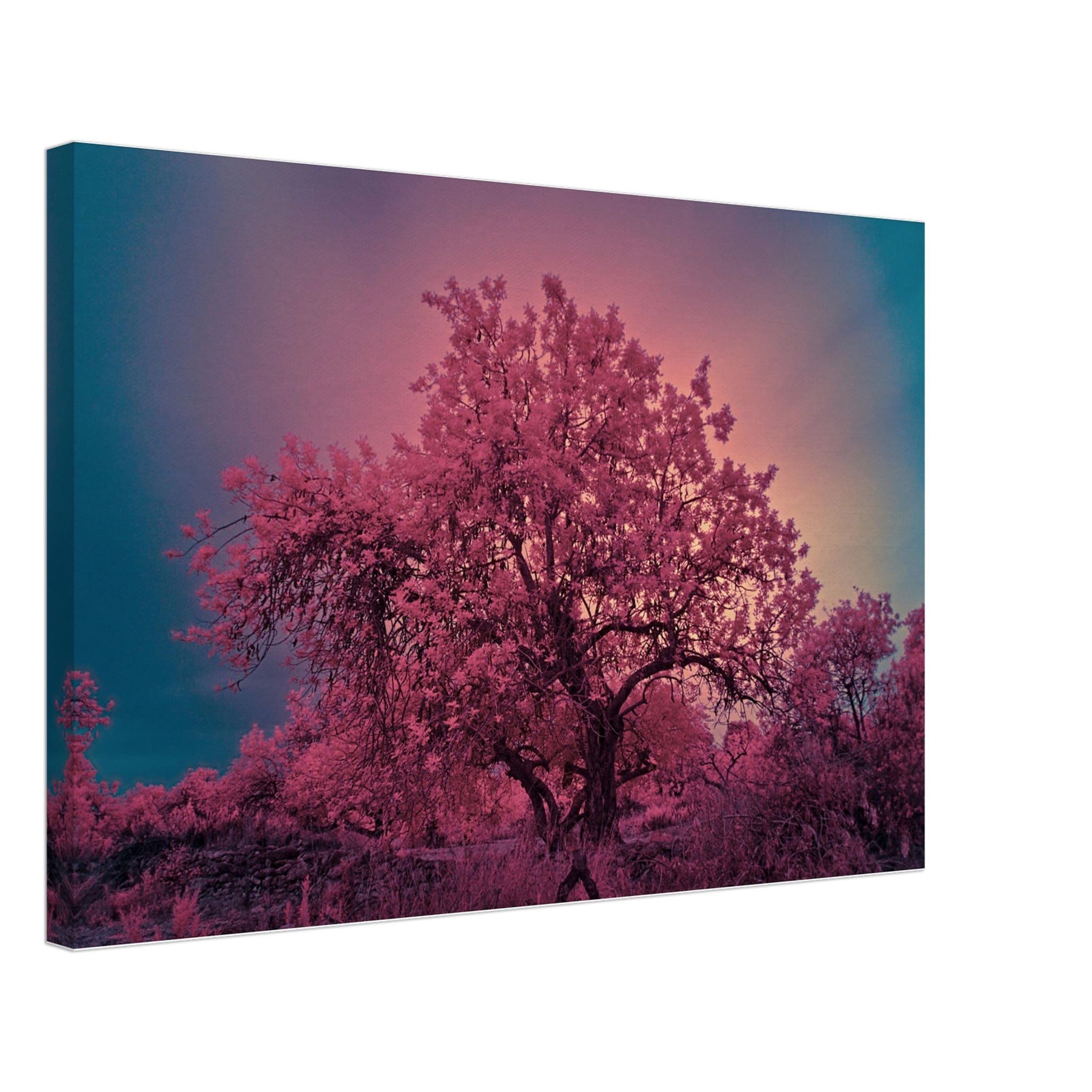 2680d70f-0750-4c2b-970d-e5b494e9eb59