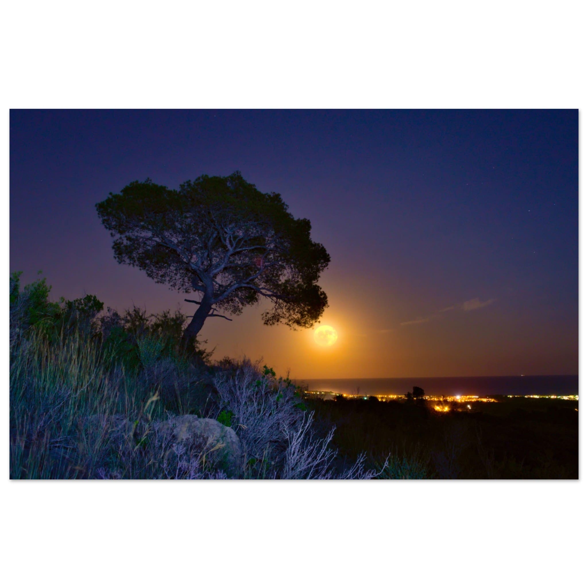 344df94c-8121-4c97-9c92-07e486e7c92e