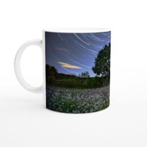 41ad154d-dcbf-472e-a56a-dc33bba227a8