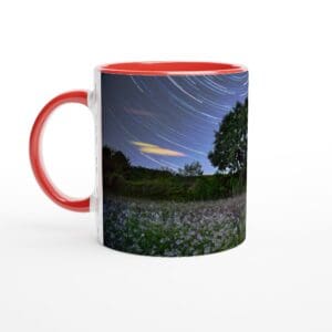 7995f679-d652-43d8-9685-07b67cf0bf8f