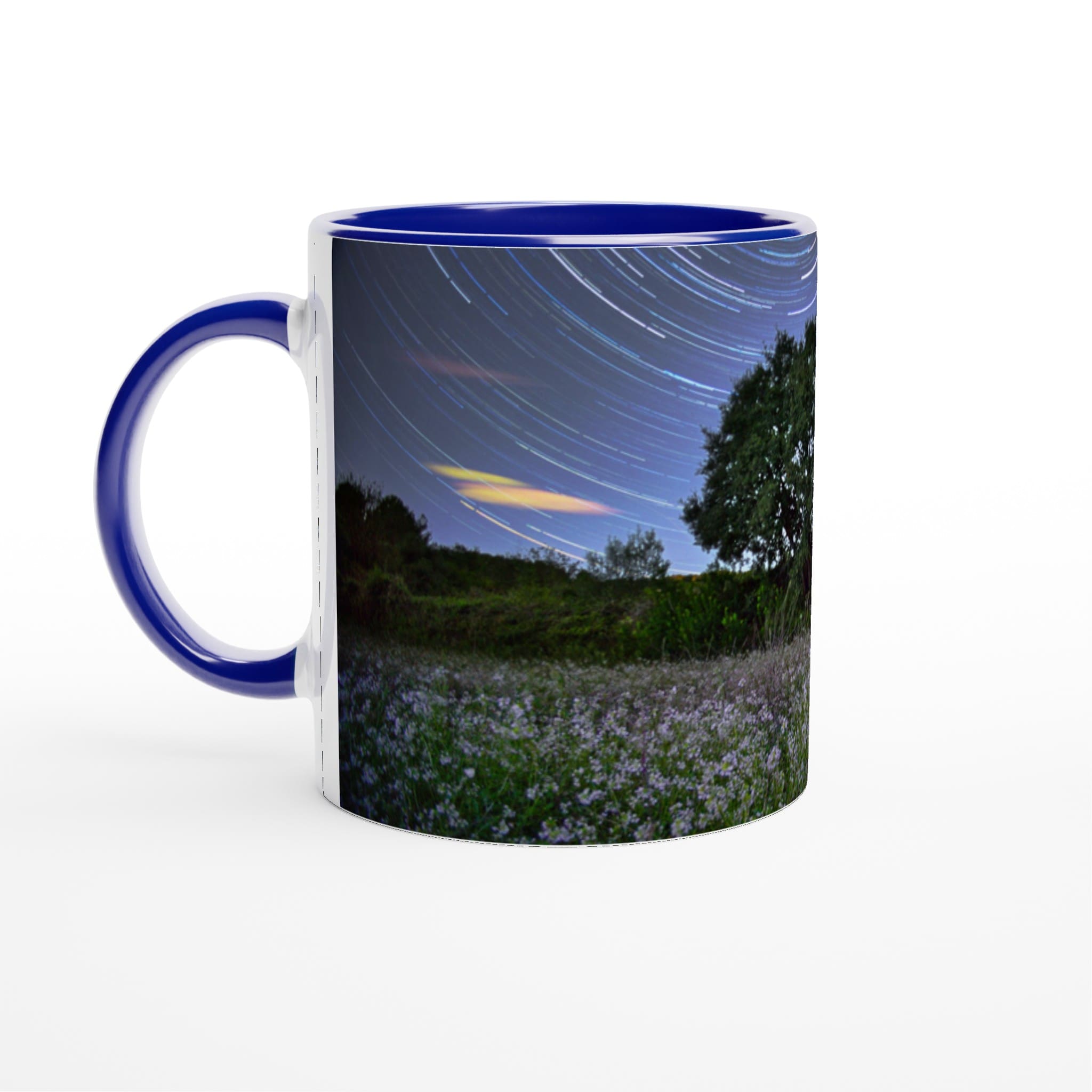 8d4f0972-c483-4165-99a8-7c4c498bfbb7