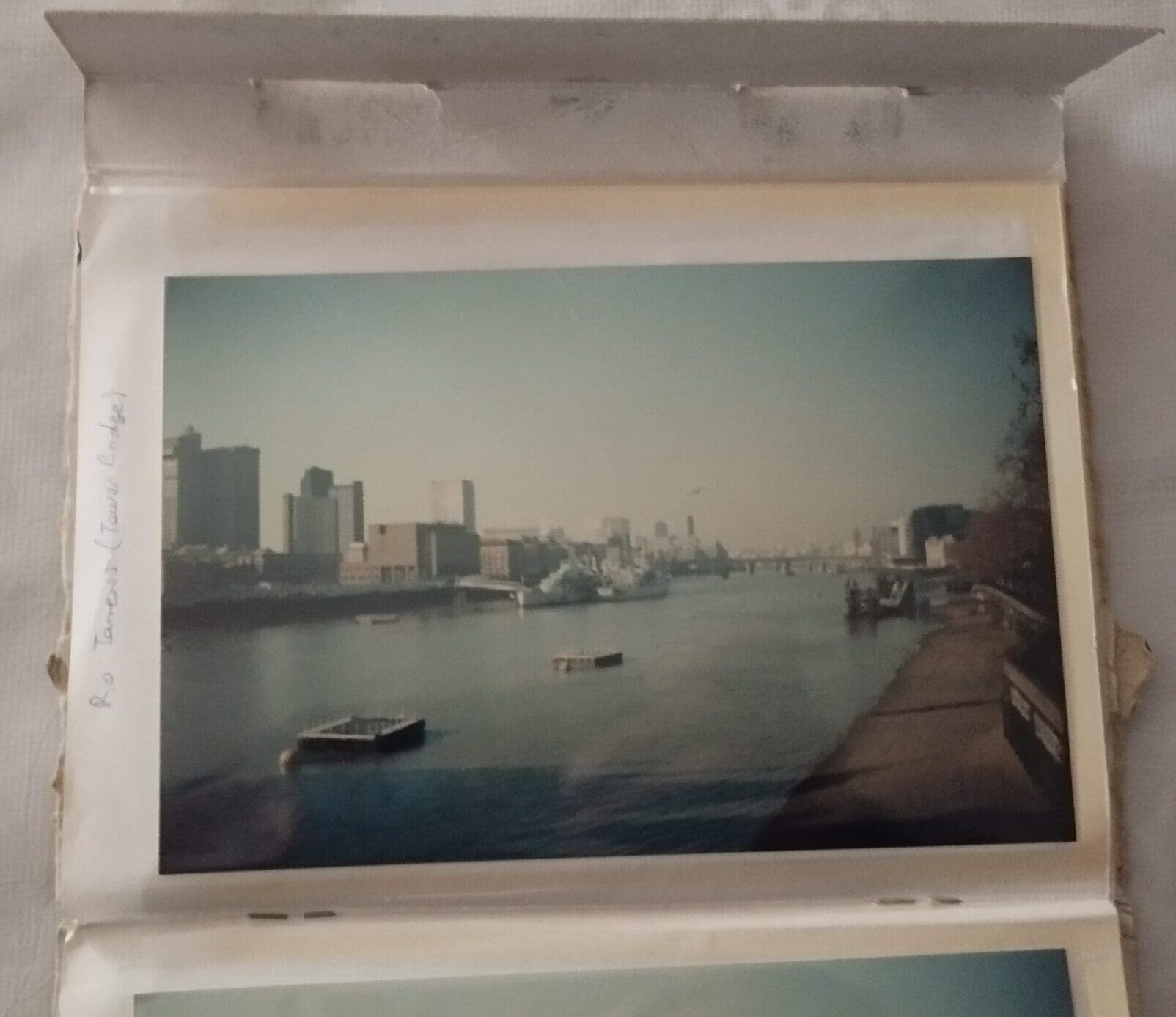 IMG_20250121_122211 IMG_20250121_122211