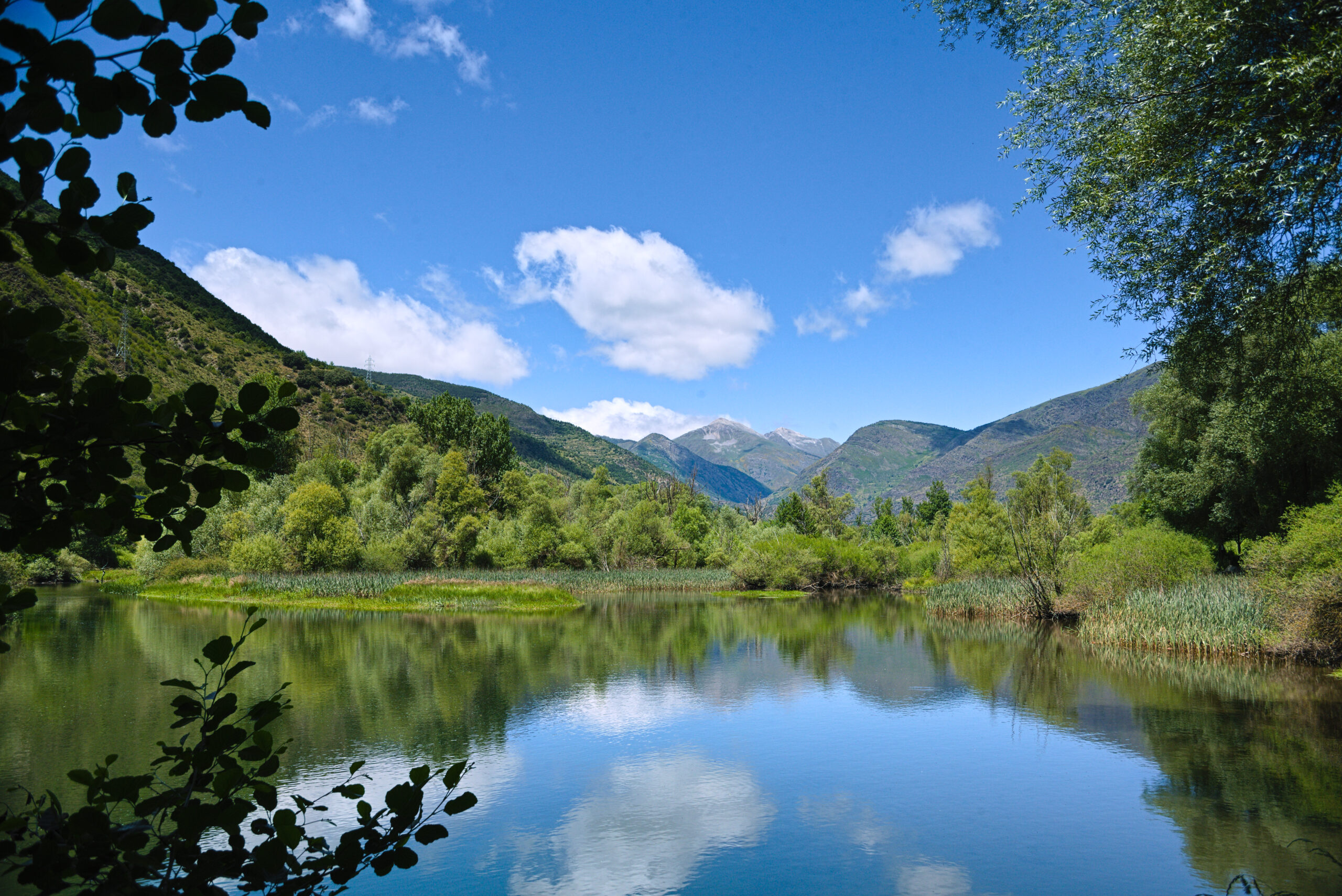 Mollera d’escalarre-reflejo1