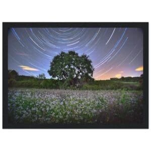 a450ab6e-2518-4594-ae53-68e779608a92