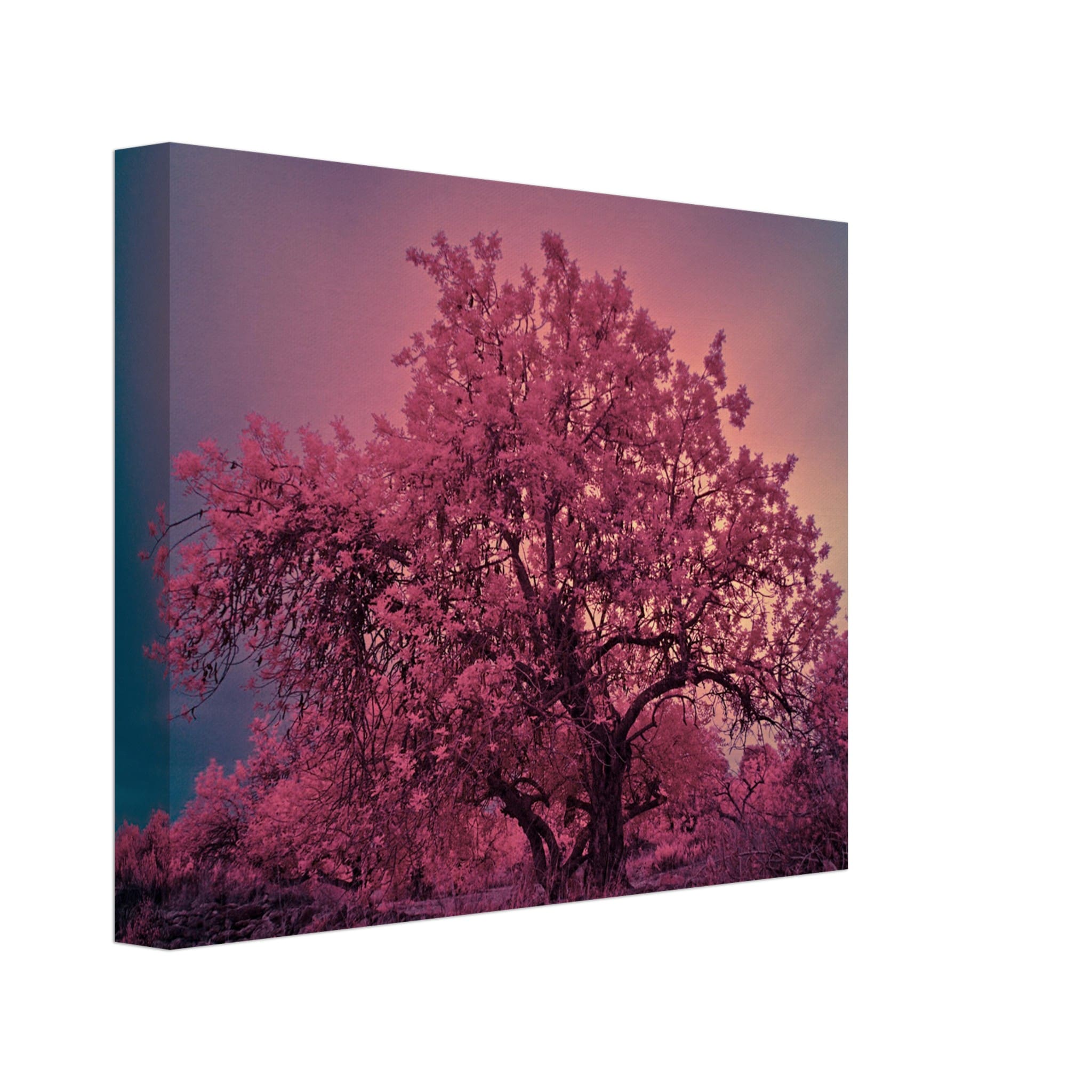 a67f9161-36ca-441d-a21a-320814589406