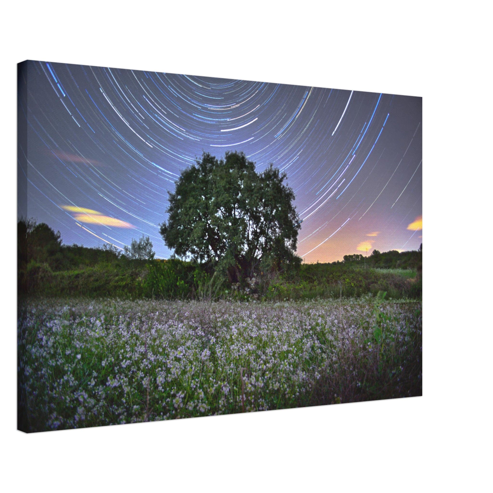 a8740371-4049-43b5-8b4f-fcef272a22a4