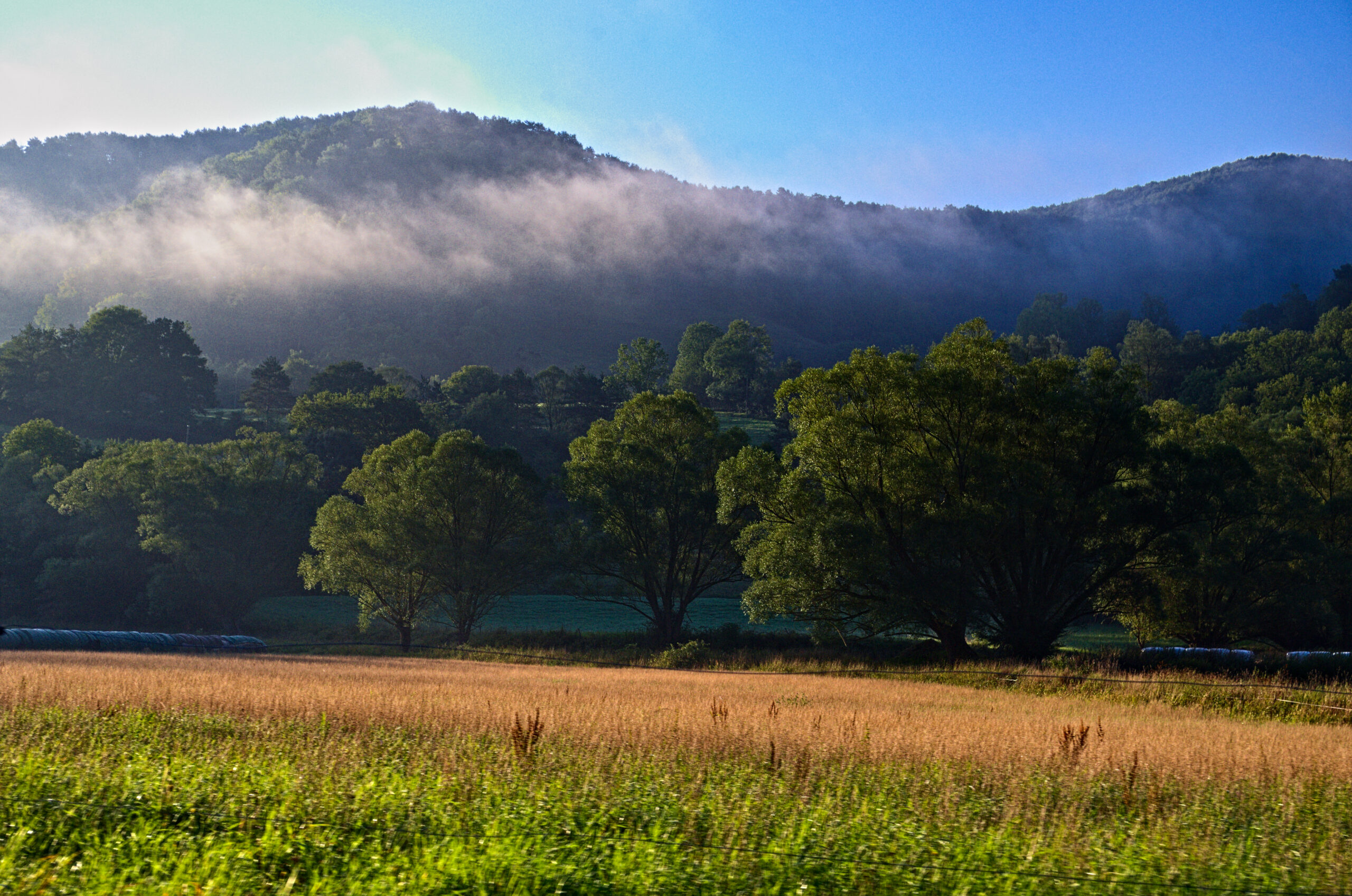 campo nbes on the run!