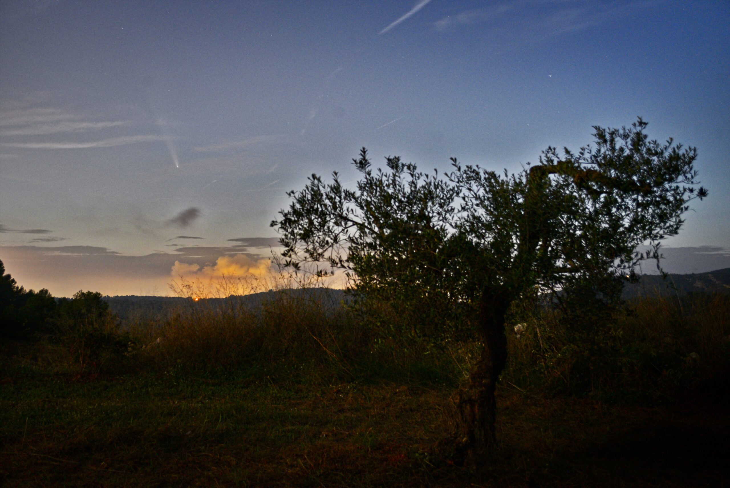 cometa_c2023_a3_tsushinchan_atlas-m5KLy6nv73IGRyJq
