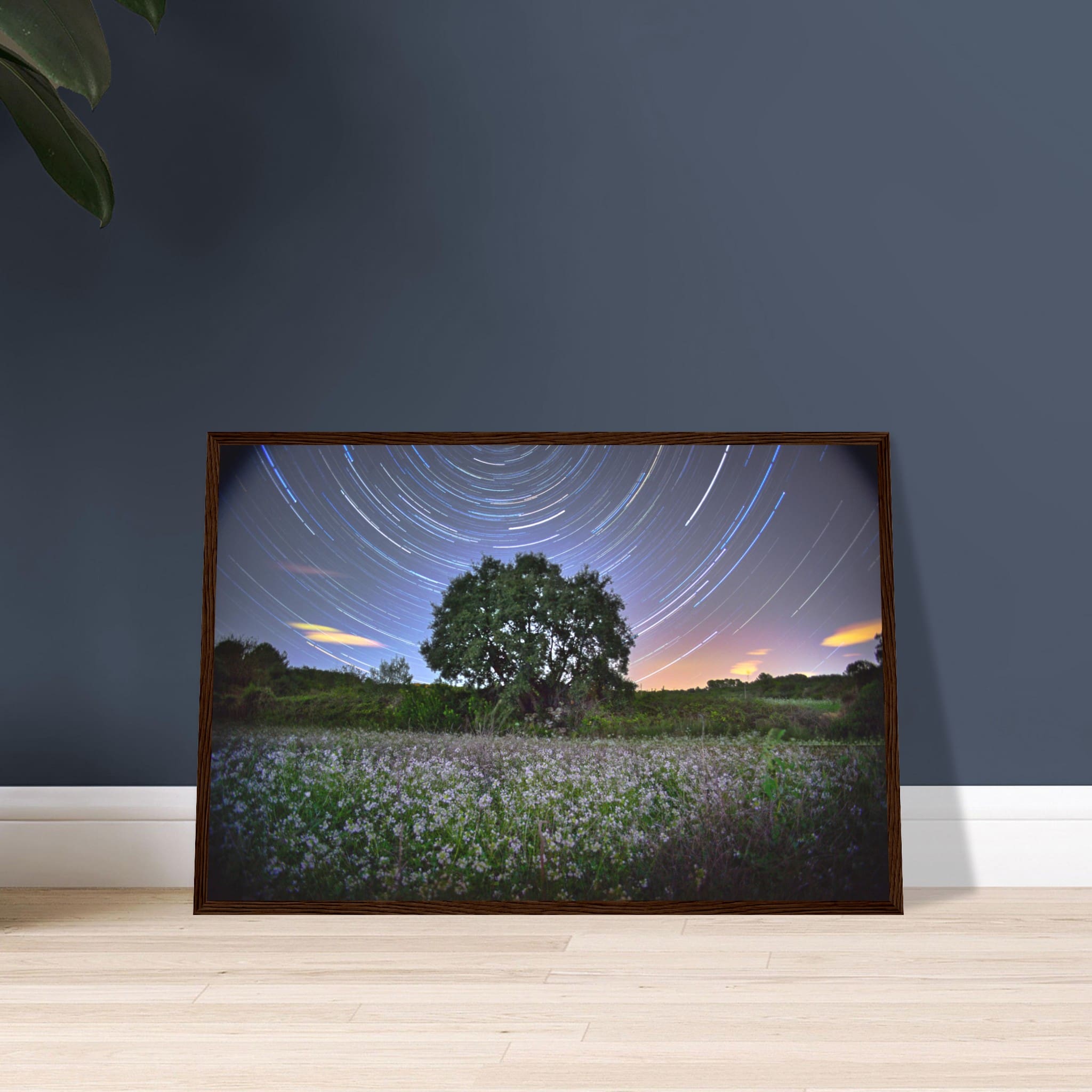 d0bba77f-1c03-4839-a1b1-42e0ec49bb90