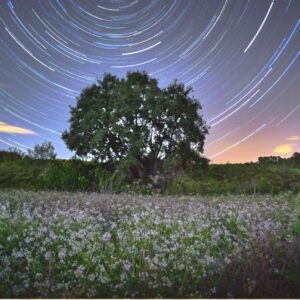 df6dfe4e-a2ec-49b2-9ce9-914856e9a820