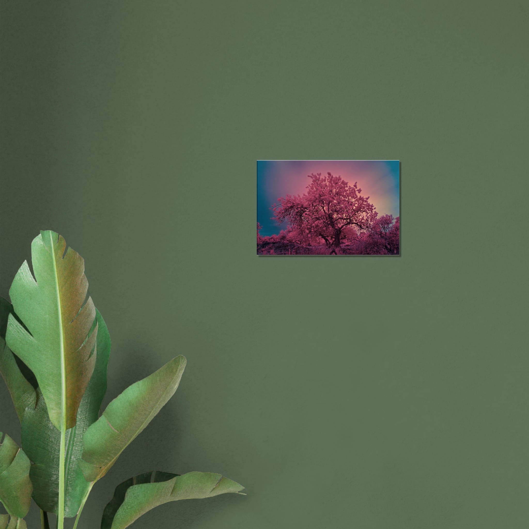 f062d6cc-cc23-471f-a71c-5bb8aefc01cc