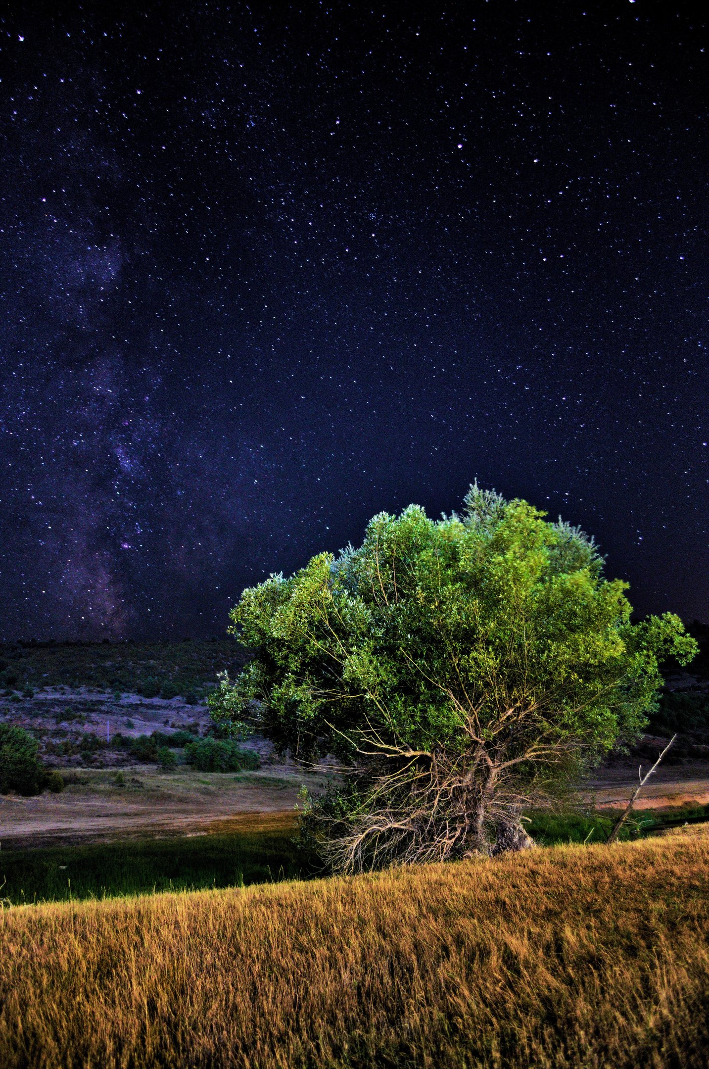 mil-brazos-y-mil-noches_web-ALp7vwvJrKf5jZqo