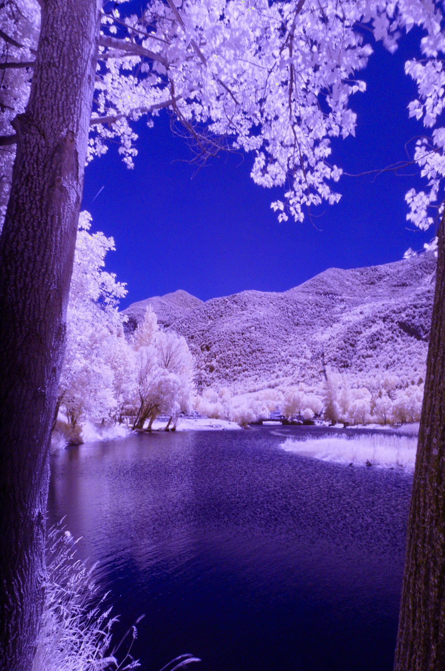 mollerair1_web-d957lgMn03UyNo4D