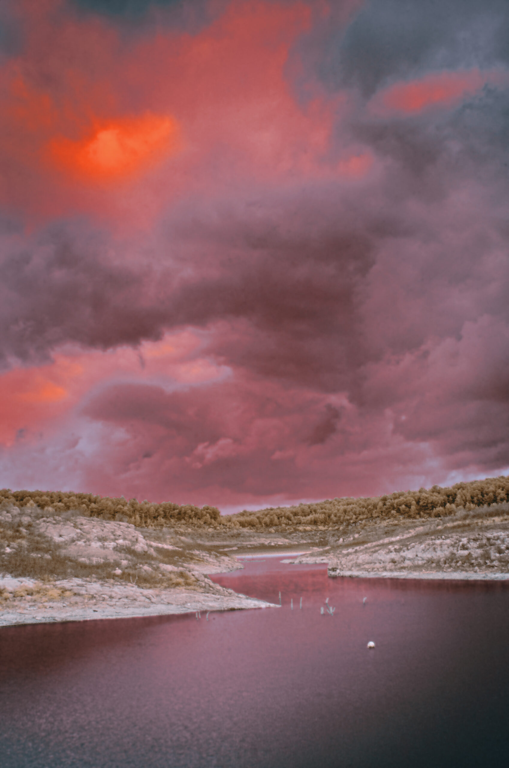 pantano2 IR rio de fuego
