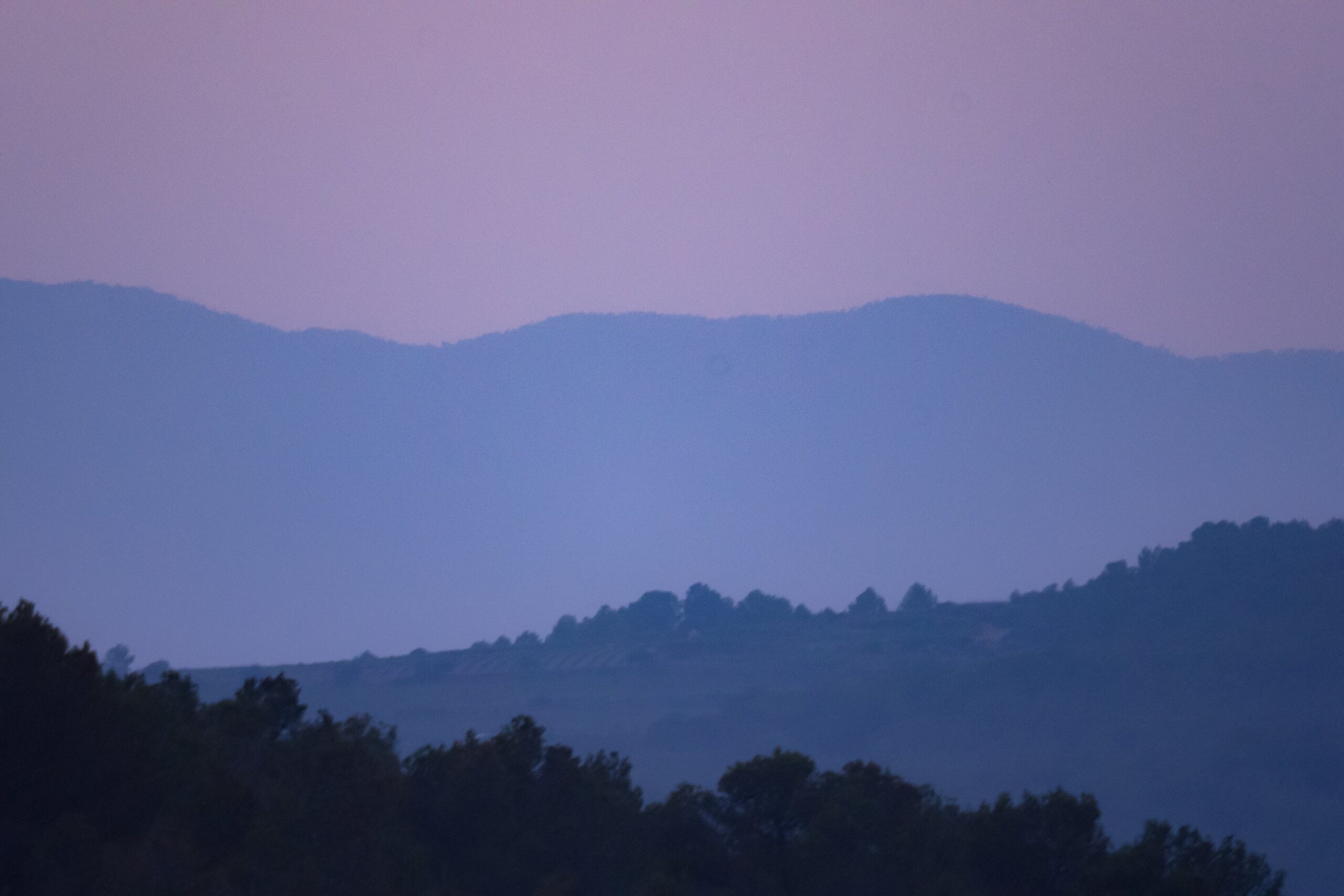 psx_20230711_145215-YNqPLNqNQxfQWR7j