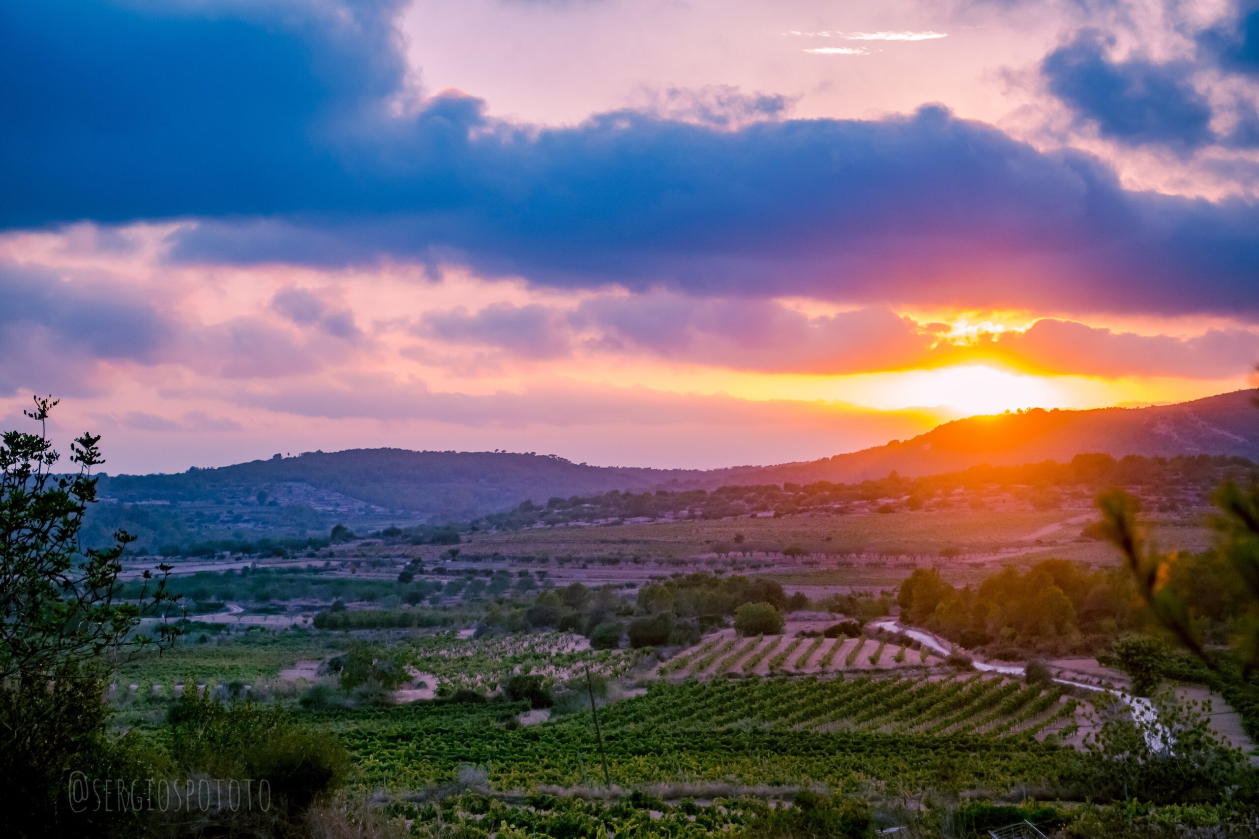 psx_20230821_103338-AGBnjvNZMyuJK5Xy