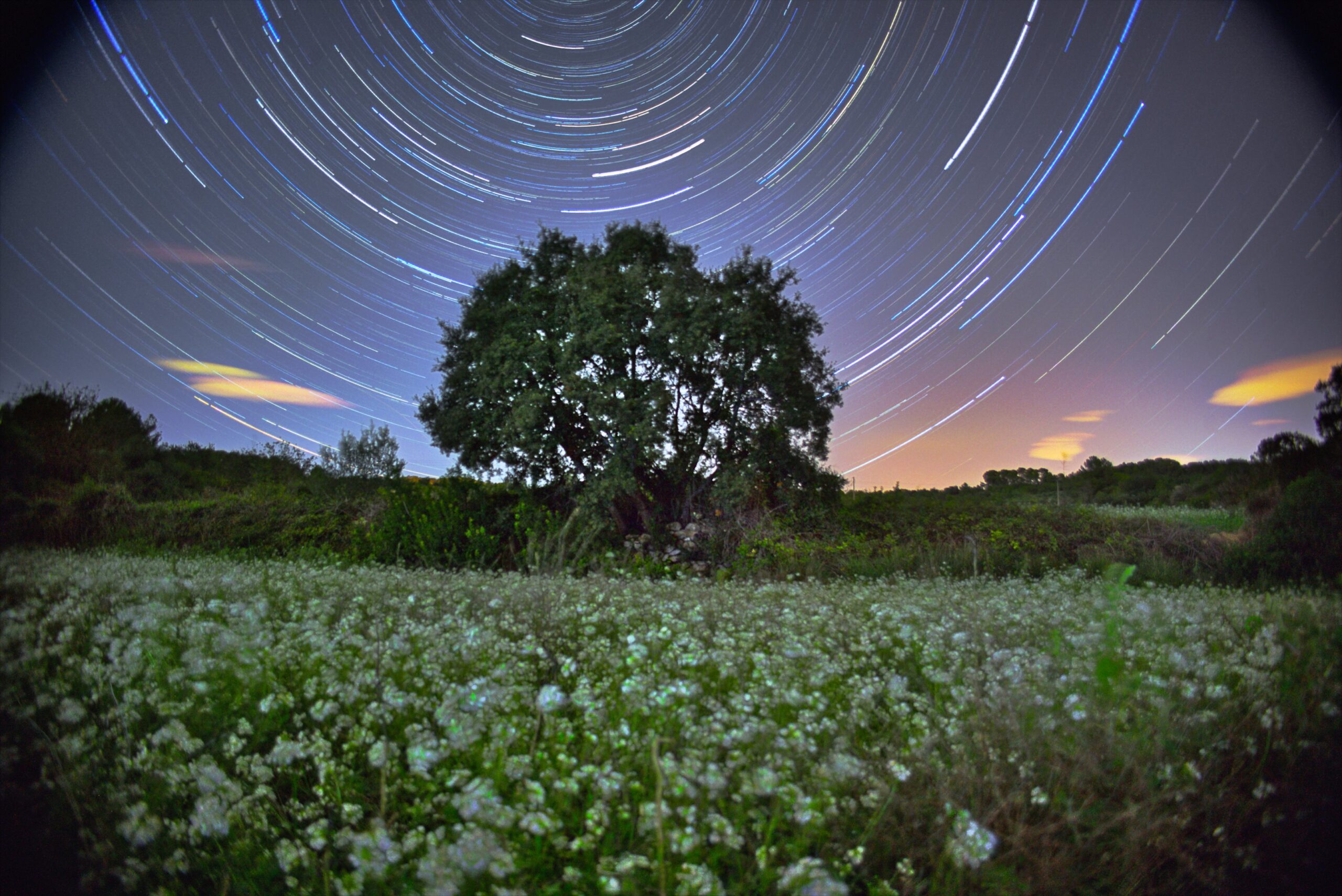 Startrails en los campos de la Nou de Gaià